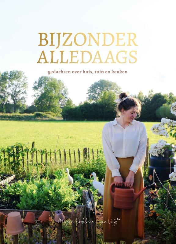 Bijzonder alledaags 9789088973970