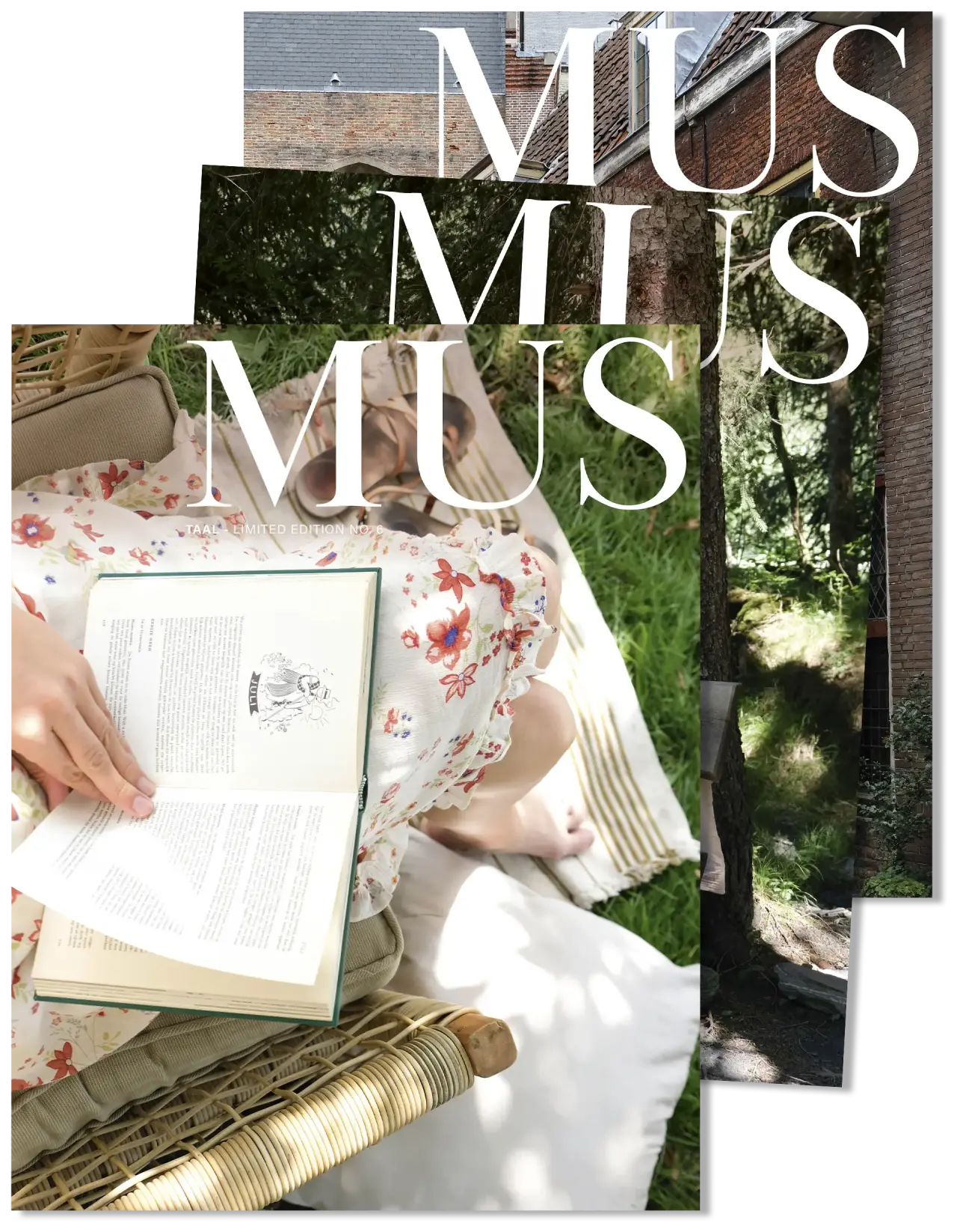 MUS productfoto 1920 Zomerpakket 3